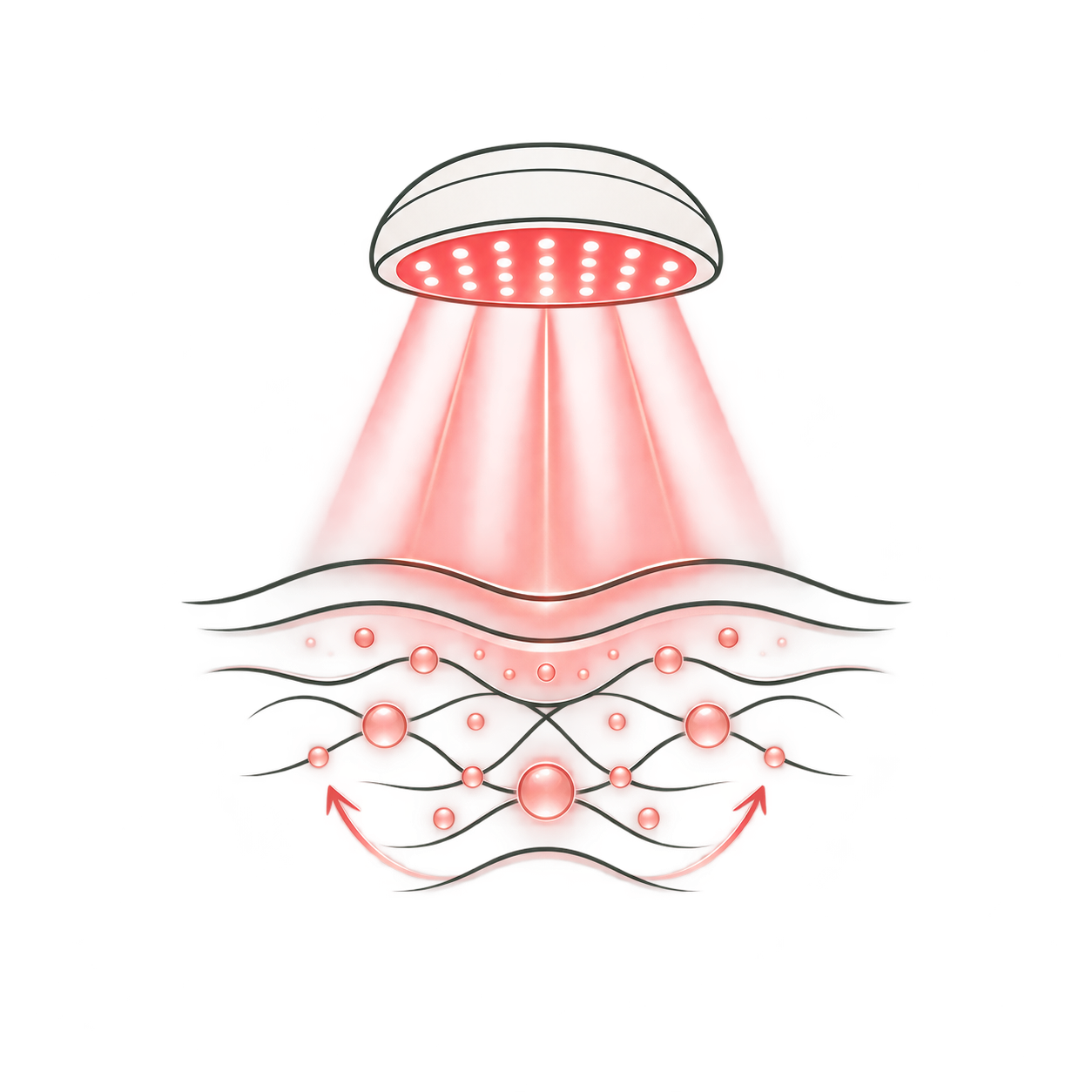 Lumina Rosie